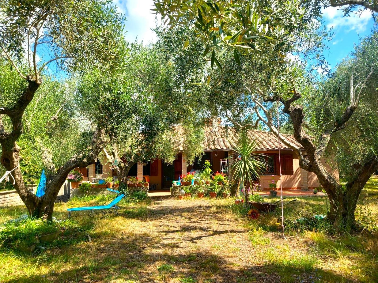 All'Ombra Degli Olivi Pisciarelli ภายนอก รูปภาพ