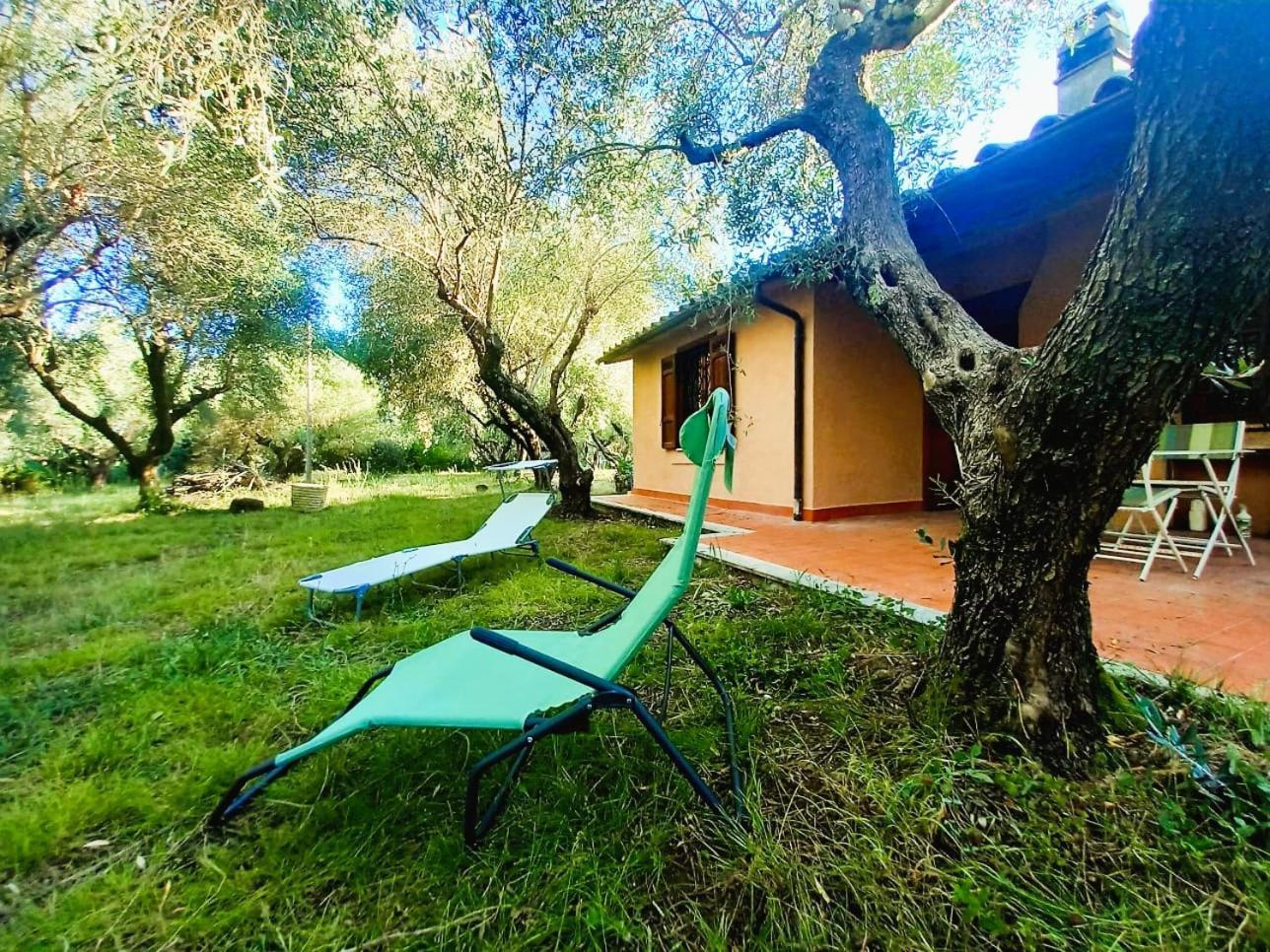 All'Ombra Degli Olivi Pisciarelli ภายนอก รูปภาพ